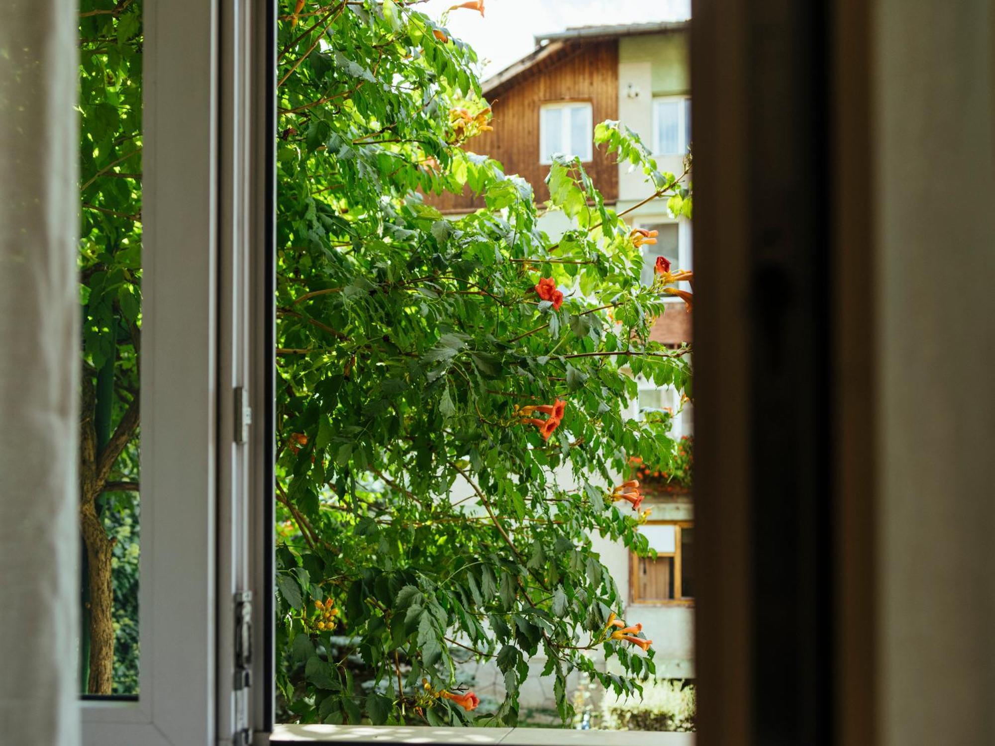 Cozy Central Apartment Near The Forest Brasov Bagian luar foto