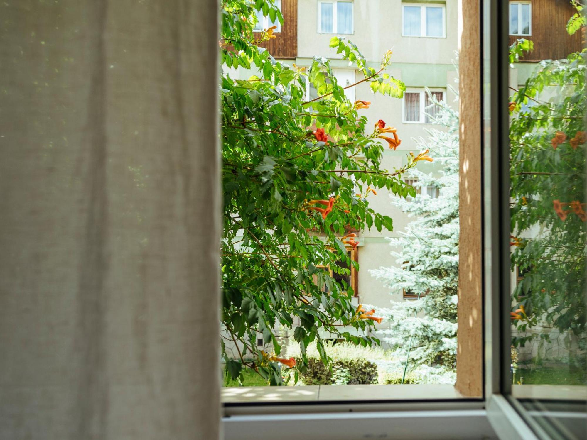 Cozy Central Apartment Near The Forest Brasov Bagian luar foto