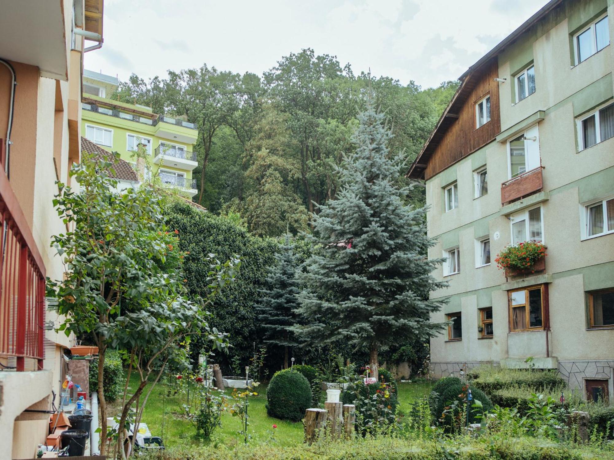 Cozy Central Apartment Near The Forest Brasov Bagian luar foto